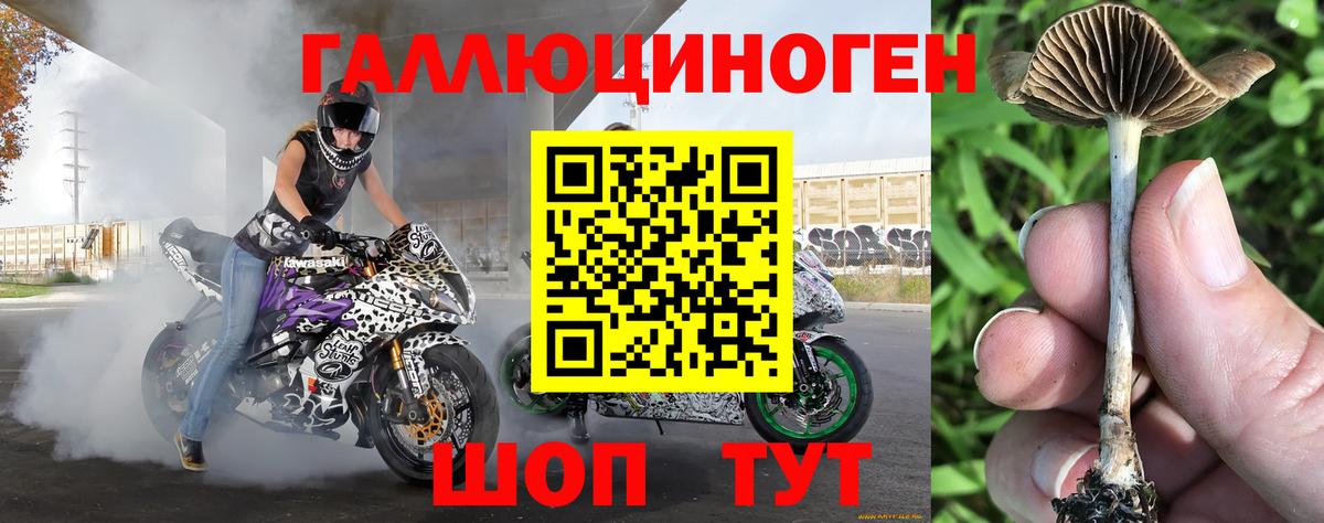 Иваново  Галлюциногенные грибы Psilocybine cubensis  Вход с VPN  Псилоцибиновые грибы мицелий 